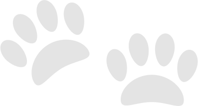 about image